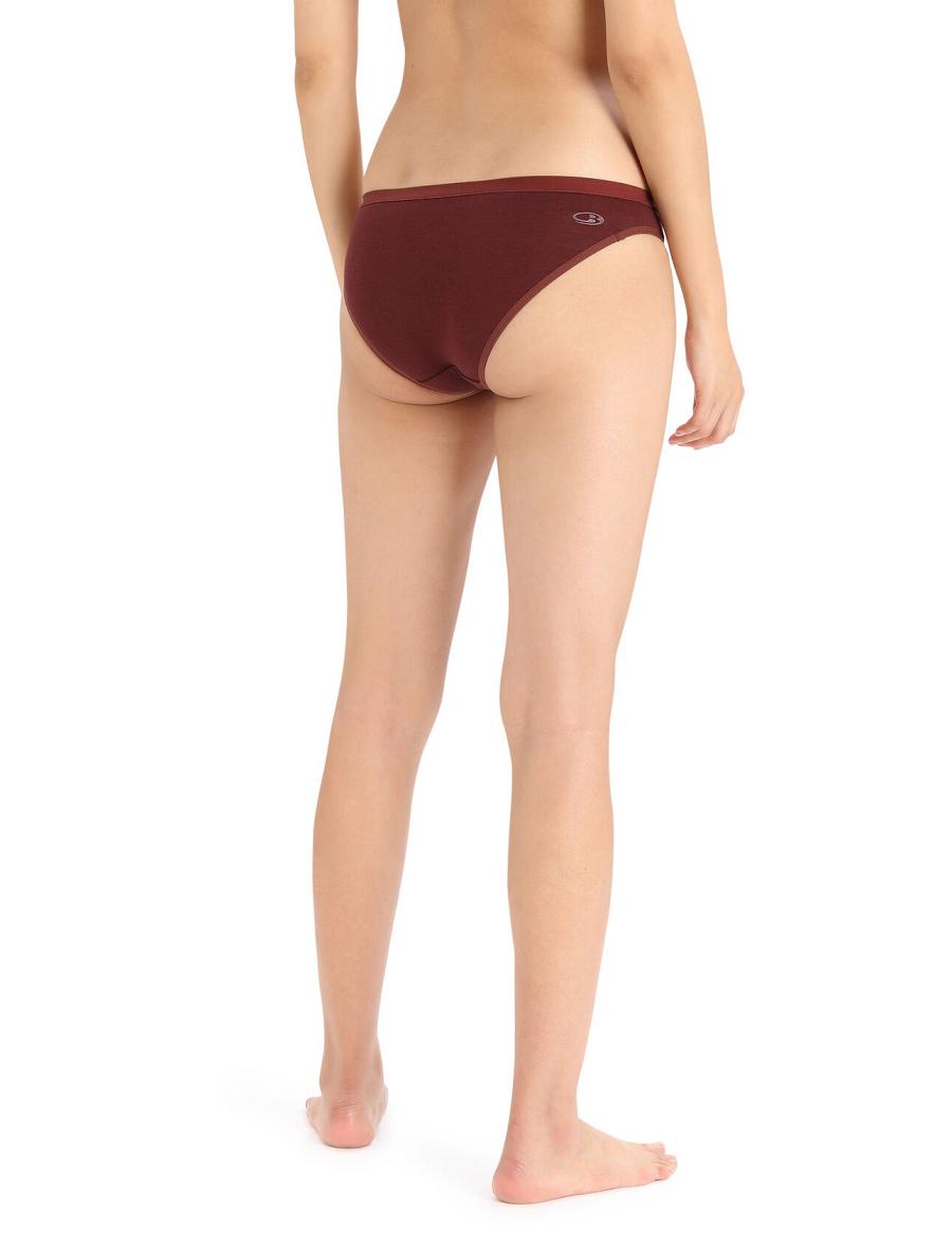 Espresso Icebreaker Merino Siren Bikini Briefs Women's Underwear | AU 1717GSOL